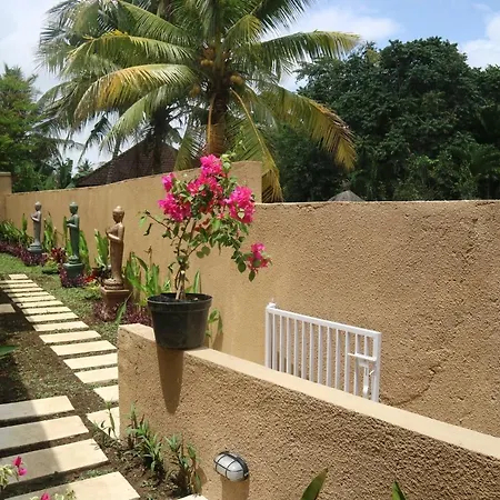 The Daryana Villa