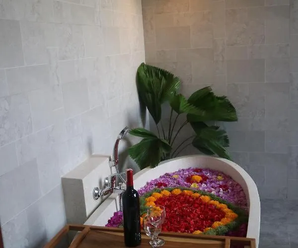 The Daryana Villa Ubud